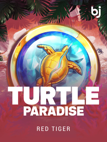 Turtle Paradisepng